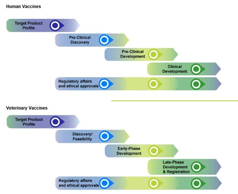 Launch of Veterinary Vaccine Development Process Map | IVVN